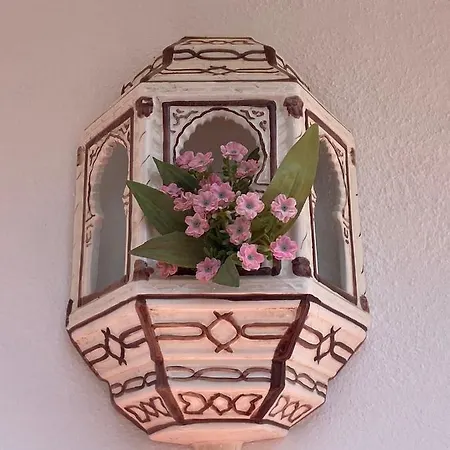 Casa Tres Limoneros Apartment Cordoba
